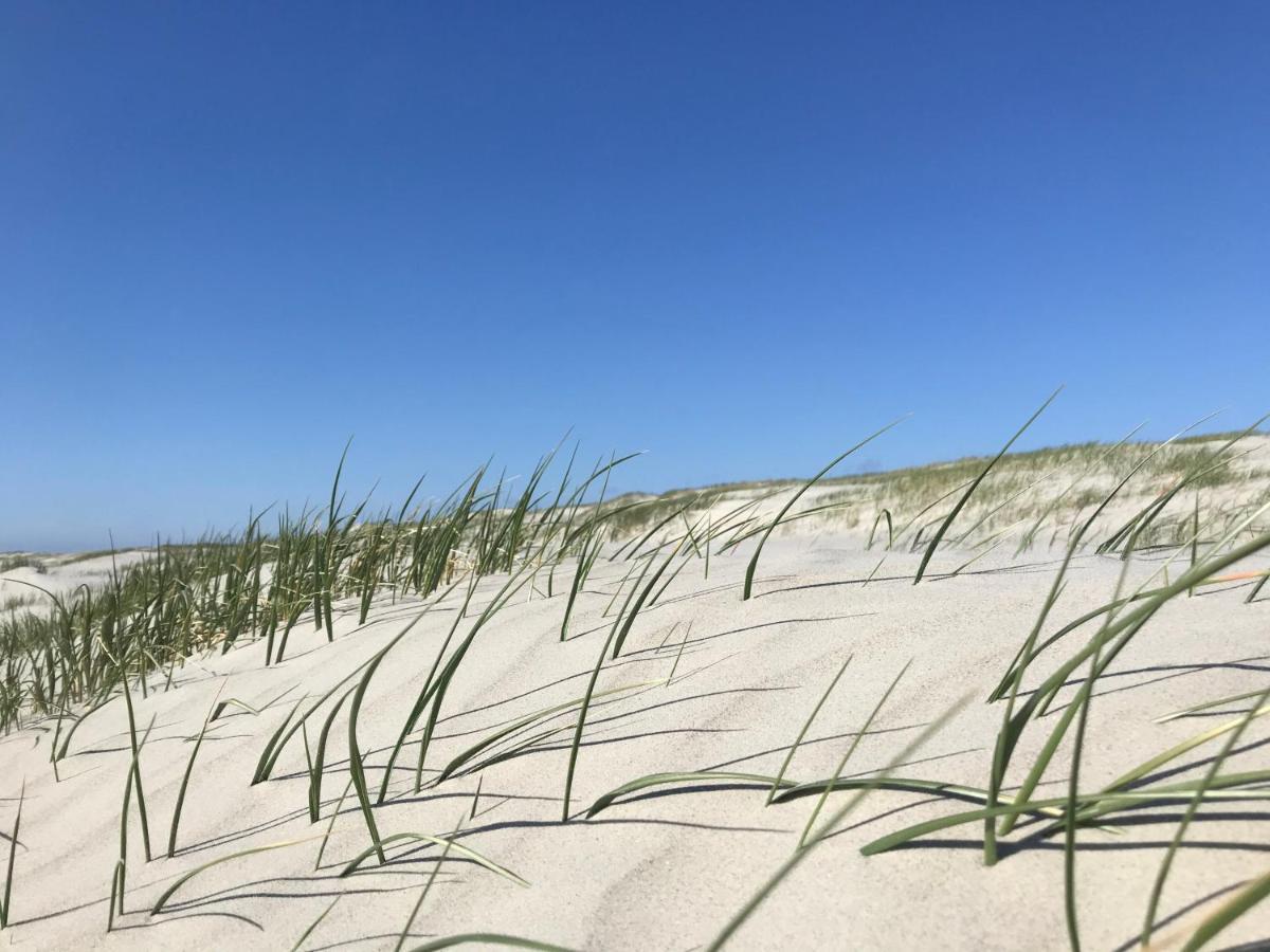 Ferienhaus-Nordseebirke Suderdeich 외부 사진